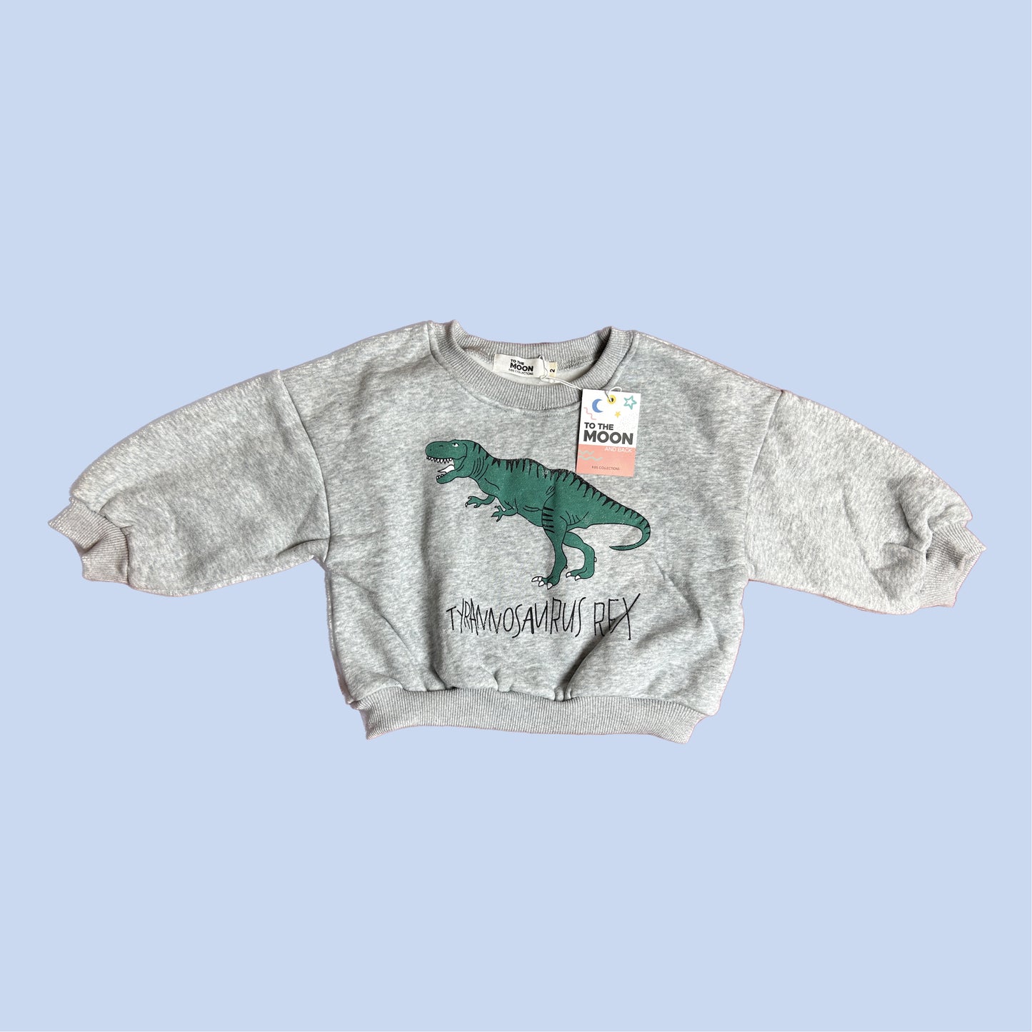 Buzo felpa Dino