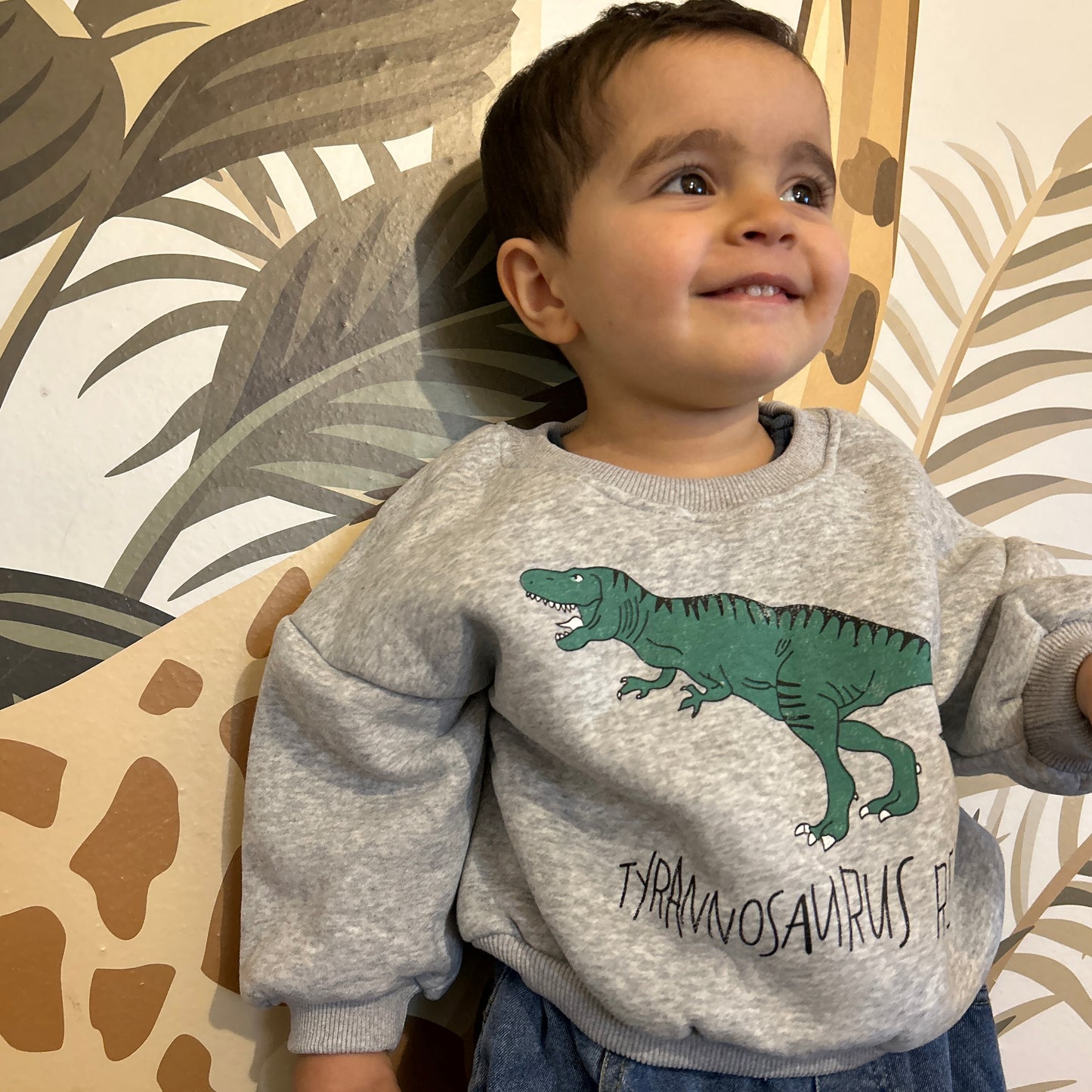 Buzo felpa Dino